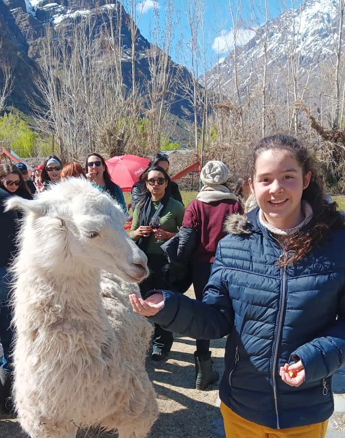 Portillo + Laguna del Inca with picnic - Chacabuco Victory Monument and the history of the route