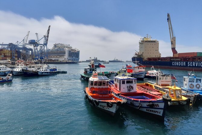 Post-Cruise Valparaíso & Viña del Mar Tour to Santiago 4-Pax Deal - Key things to know before you book