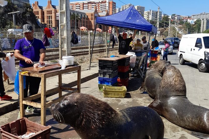 Post-Cruise Valparaíso & Viña del Mar Tour to Santiago 4-Pax Deal - Why this post-cruise route can work so well