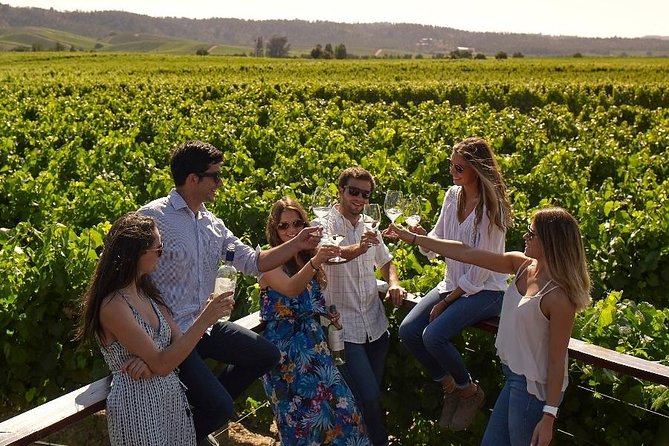 Pre or Post Valparaiso Cruise with Santiago City Tour and optional Vineyard - The real issue: shared transport and time control
