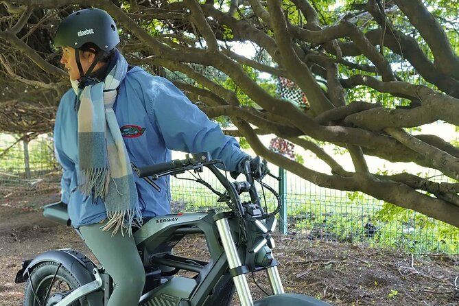 Premium Electric Segway Rentals in Punta Arenas - Cruise port timing and practical planning