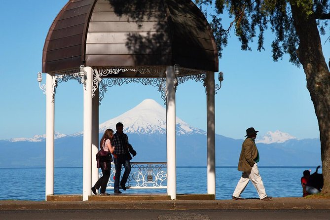 Premium Small-Group Half day Tour to Frutillar in Puerto Varas - What the $143.86 price covers