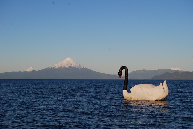 Premium Small-Group Half day Tour to Frutillar in Puerto Varas - Through Llanquihue and along the farm road