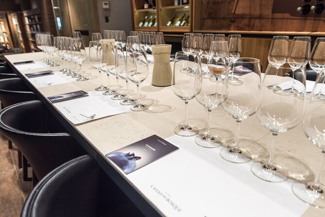 Premium Wine Tasting and Private Transport to Casas del Bosque - Key points at a glance