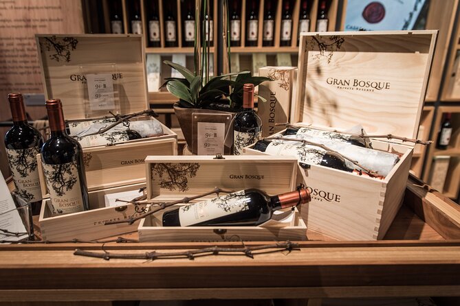 Premium Wine Tasting and Private Transport to Casas del Bosque - Why this wine trip works from Santiago
