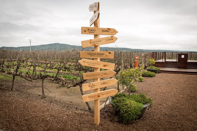 Premium Wine Tasting and Private Transport to Casas del Bosque - Daniel as guide and driver