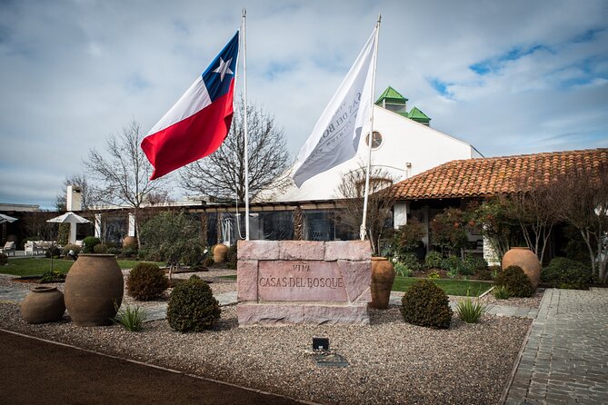 Premium Wine Tasting and Private Transport to Casas del Bosque - The drive to Casablanca Valley