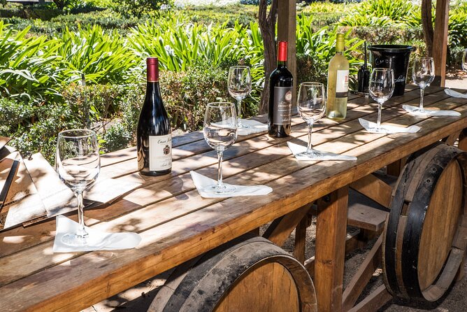 Premium Wine Tasting and Tour at Santa Rita + Private Transport - Leaving Santiago for Viña Santa Rita