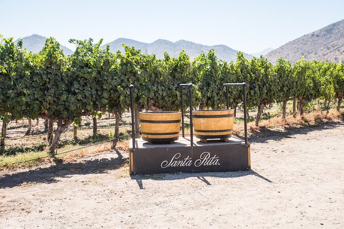 Premium Wine Tasting and Tour at Santa Rita + Private Transport - Walking through Viña Santa Rita’s park and grounds