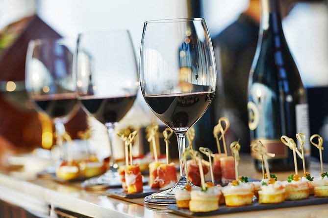 Premium Wine Tasting in Santiago de Chile - Key points to know before booking