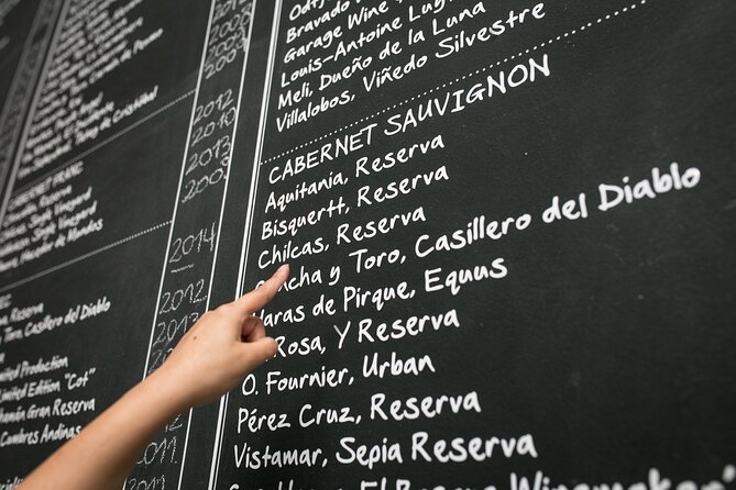 Premium Wine Tasting in Santiago de Chile - Boutique bottles instead of familiar supermarket labels