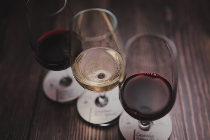 Premium Wine Tasting in Santiago de Chile - Tapas that make the tasting feel like a light stop
