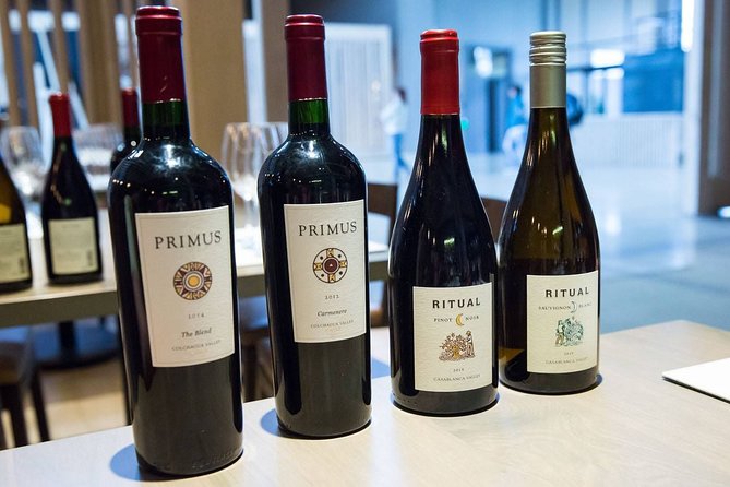 Premium Wine Tasting in Santiago de Chile - The five-wine flight: from coast to Andes