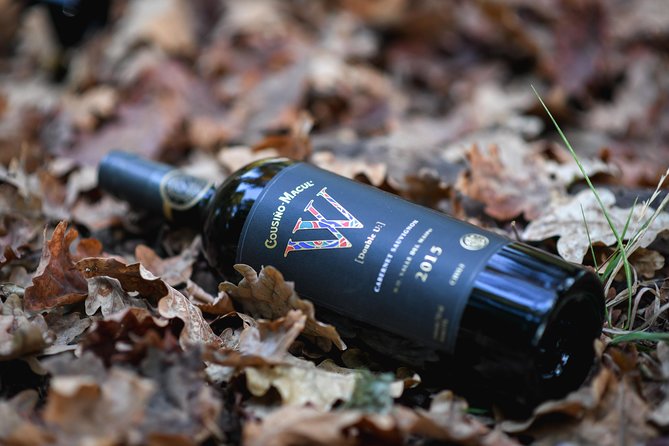"Premium Wine Tour" Viña Cousiño Macul Official english - Key points to know before you go