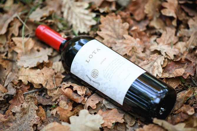 "Premium Wine Tour" Viña Cousiño Macul Official english - Historic cellars and the story behind the bottle