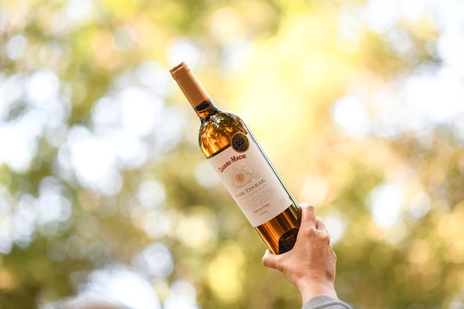 "Premium Wine Tour" Viña Cousiño Macul Official english - Three premium wines, not a rushed sample line