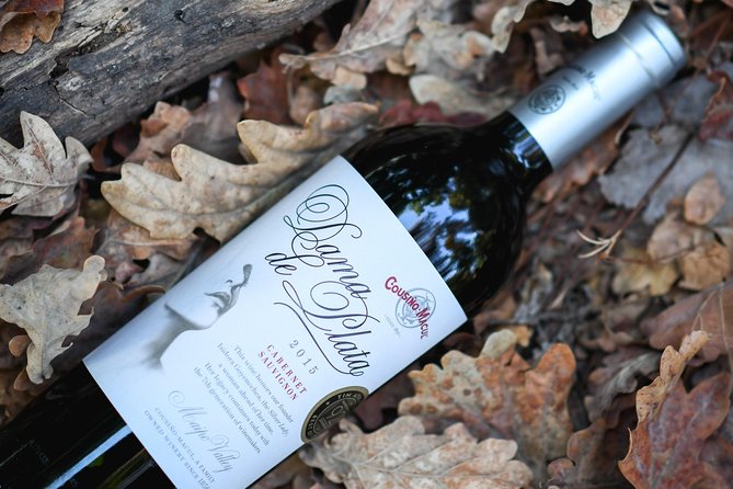 "Premium Wine Tour" Viña Cousiño Macul Official english - What $45 buys you
