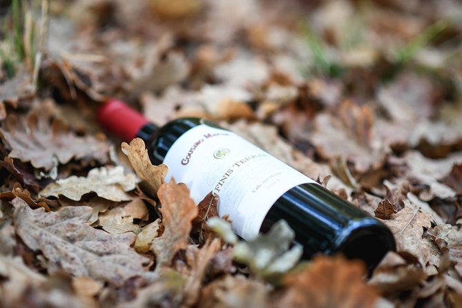 "Premium Wine Tour" Viña Cousiño Macul Official english - How the timing shapes your day
