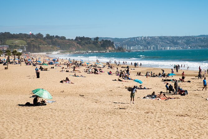 Private Beach Day from Santiago to Viña del Mar + Hotel Pick Up - The Moai stop adds an unusual Chilean connection