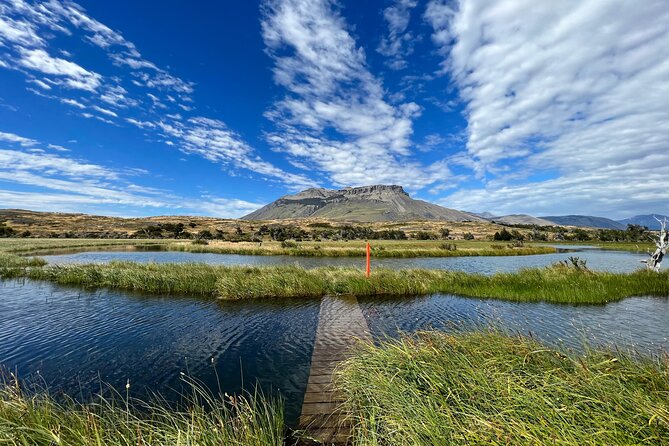 Private Bird Watching Experience in Cerro Castillo - Key points at a glance