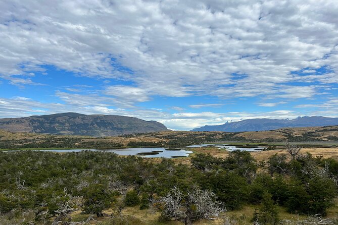 Private Bird Watching Experience in Cerro Castillo - Why Cerro Castillo works so well for bird watching