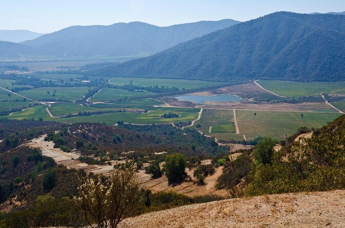 Private Casa Blanca Valley Wine Experience from Santiago - Key points at a glance