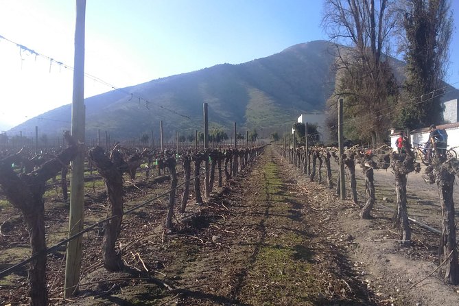 Private Casa Blanca Valley Wine Experience from Santiago - Bodega RE: a smaller, more inventive stop
