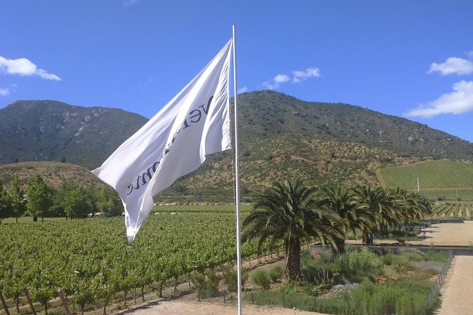 Private Casa Blanca Valley Wine Experience from Santiago - Starting from Santiago at 9:00 a.m.