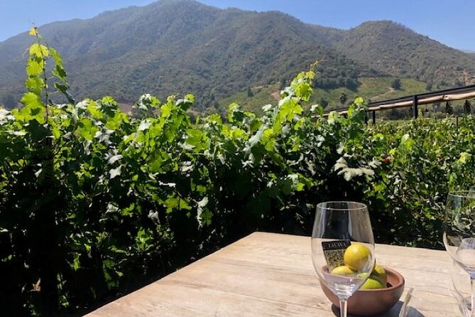 Private Chilean Wine Route Colchagua Valley Day Trip - Key points to know before booking