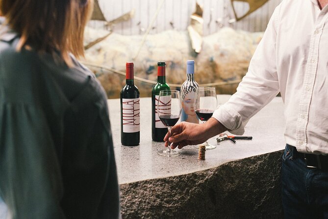 Private Colchagua VIK and Montes Wineries Experience - Key points to know before booking