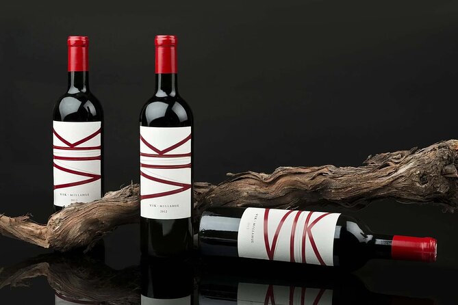 Private Colchagua VIK and Montes Wineries Experience - Why this full-day wine trip works