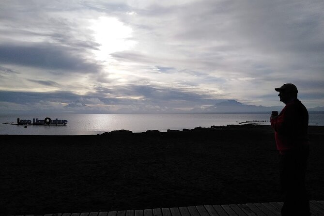 Private Day Tour Frutillar, Puerto Varas and Puerto Montt - Who should book this Frutillar day tour?