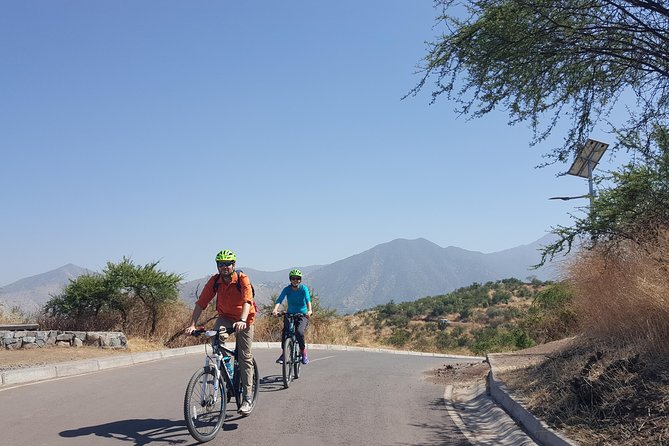 Private Full-Day Bike Tour of Santiago Cultural 5-6 hrs - La Moneda and Chile’s political past