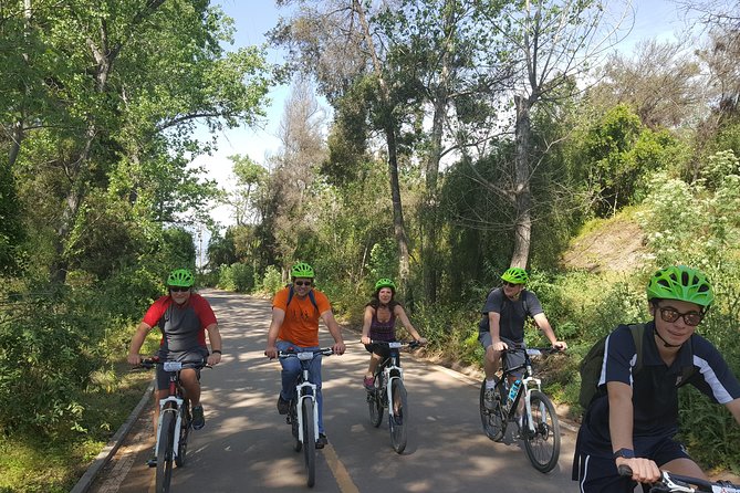 Private Full-Day Bike Tour of Santiago Cultural 5-6 hrs - Forestal Park, Fine Arts, and Lastarria