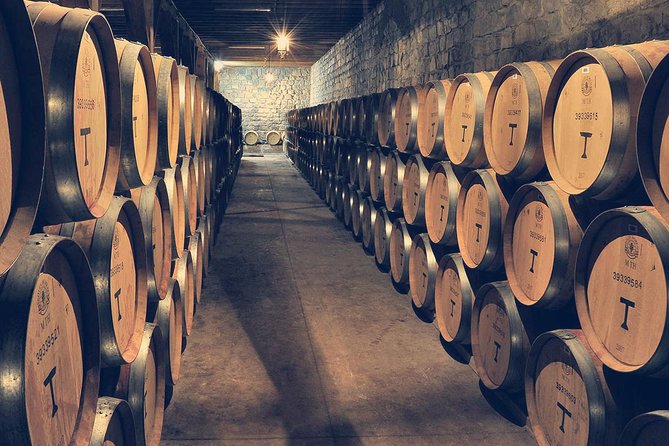 Private Full Day City Tour of Santiago with Wine Experience - Cerro Santa Lucia, a green pause in the city