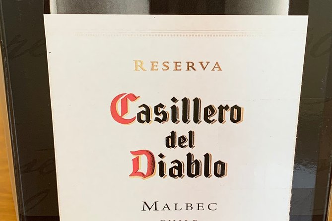 Private Full Day Rafting and Wine From Santiago - Getting ready for the Maipo River