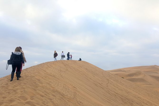 Private Full Day Tour to Concón Viña del Mar and Valparaiso + 1 Activity - Viña del Mar in quick, photogenic stops
