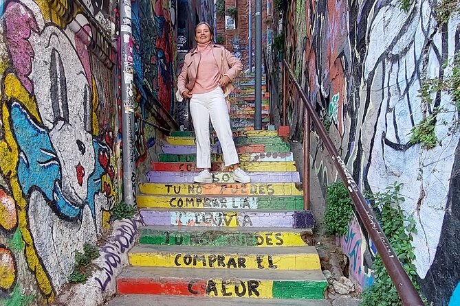 Private Full-Day Tour to Valparaiso Viña del Mar and Reñaca - The guide can make the schedule work