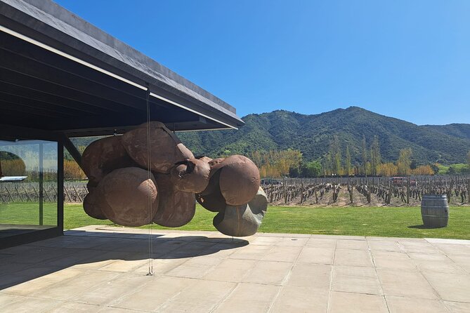 Private Full Day Tour to VIK Winery with Gourmet Lunch - A three-course lunch with premium wine
