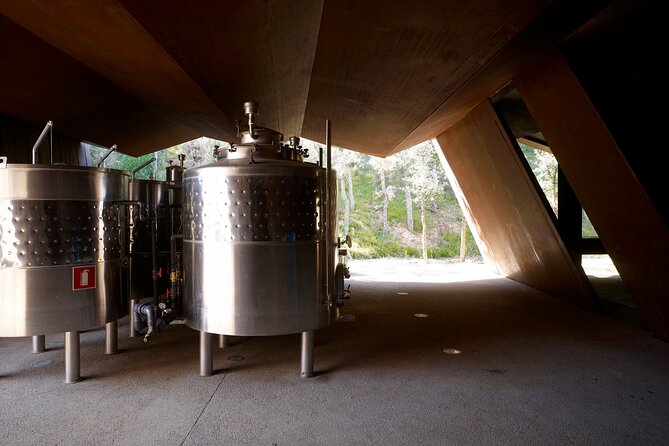 Private Full Day Tour to VIK Winery with Gourmet Lunch - Why the private format matters