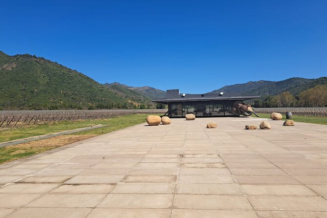 Private Full Day Tour to VIK Winery with Gourmet Lunch - Who should book this VIK Winery day?