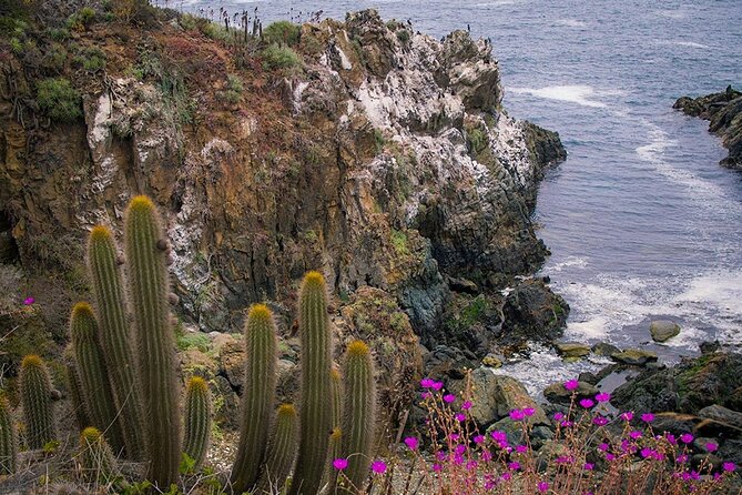 Private Garden Tour in Central Coast of Chile with Lunch included - Key points before you book