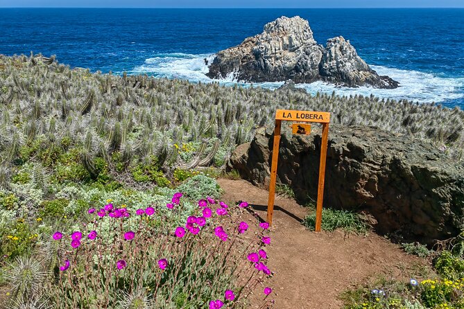 Private Garden Tour in Central Coast of Chile with Lunch included - Why this private coast trip is different from Santiago sightseeing