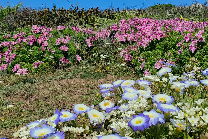 Private Garden Tour in Central Coast of Chile with Lunch included - Cachagua’s coastal trail and bird refuge