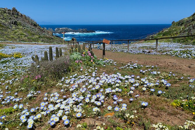 Private Garden Tour in Central Coast of Chile with Lunch included - The two-hour ride north to Bioparque Los Molles