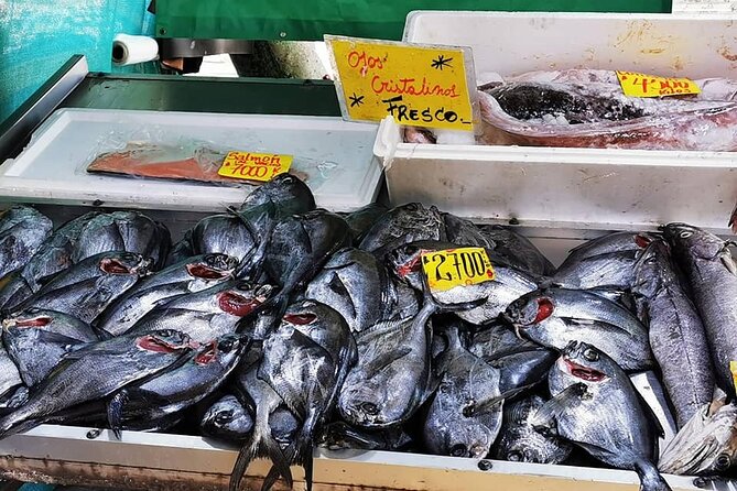 Private Gastronomic Tour Valparaiso - Caleta Portales: Ending with Fresh Ceviche