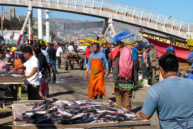 Private Gastronomic Tour Valparaiso - Timing, Route, and Practical Planning