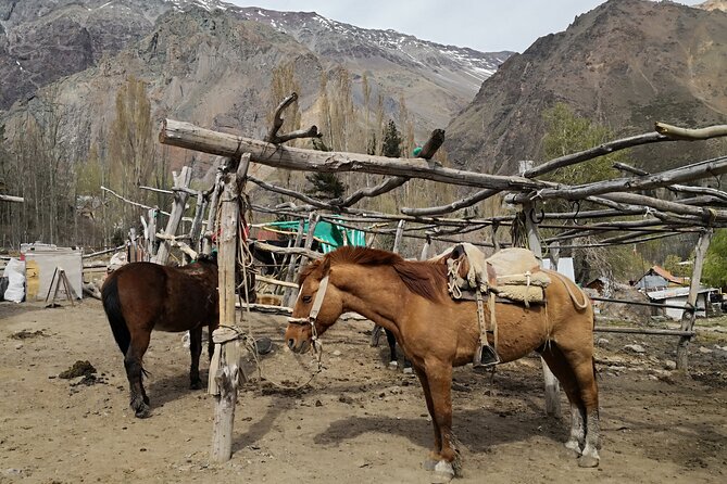 Private Guided Tour in Maipo Canyon with Winery - Pirque gives you time for lunch