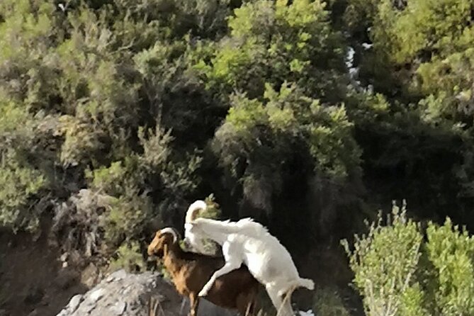 Private Guided Tour in Maipo Canyon with Winery - Private transport changes the pace