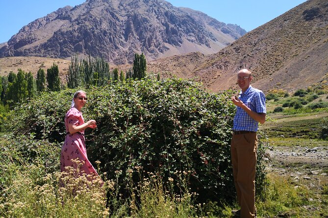Private Guided Tour in Maipo Canyon with Winery - Who will get the most from this day?